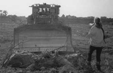 Rachel Corrie confronts an Israeli bulldozer on 16 March 2003, Rafah, Gaza