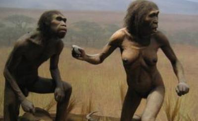 African Erectus