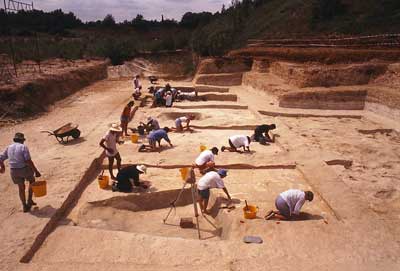 Boxgrove excavation