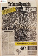 capa nº 164